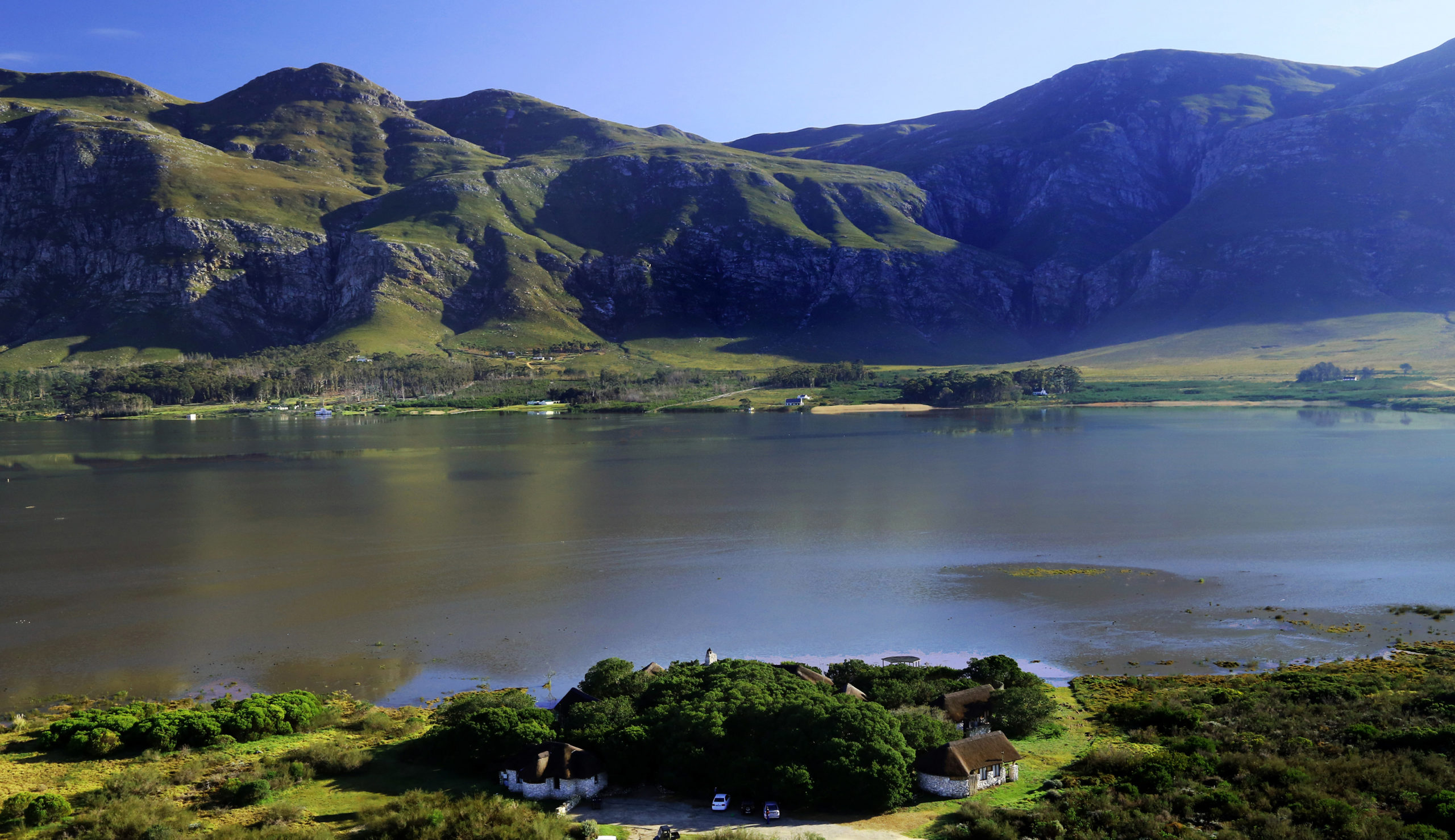 Black Rhino Header Image