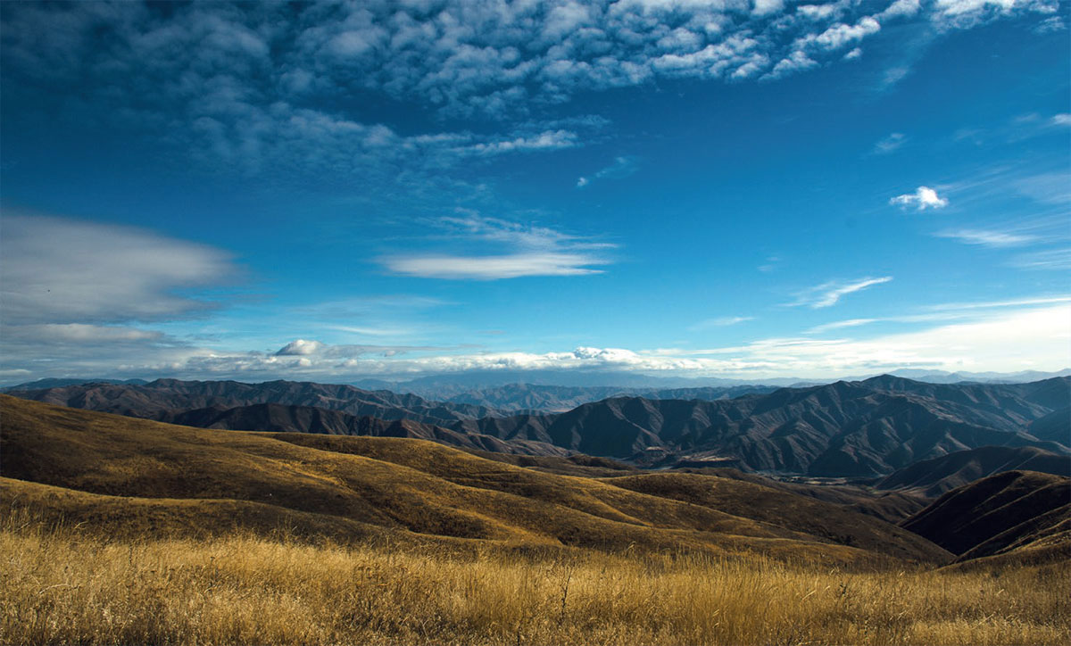 Samara Header Landscape