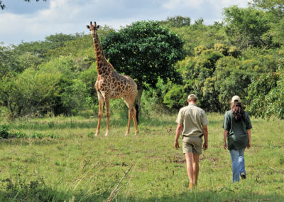 Falaza Game Park 4