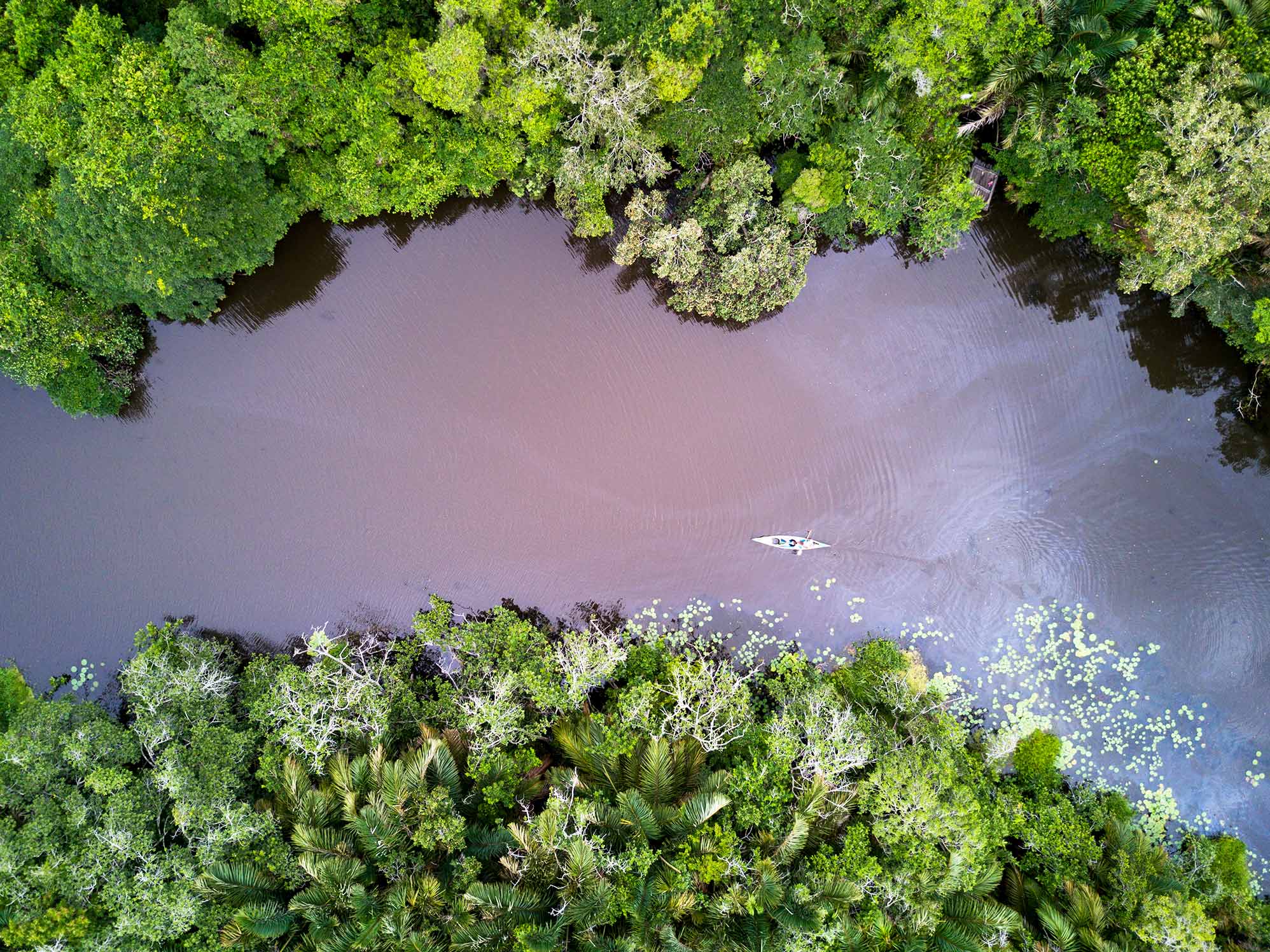 Kosi Forest Lodge Aerial Image