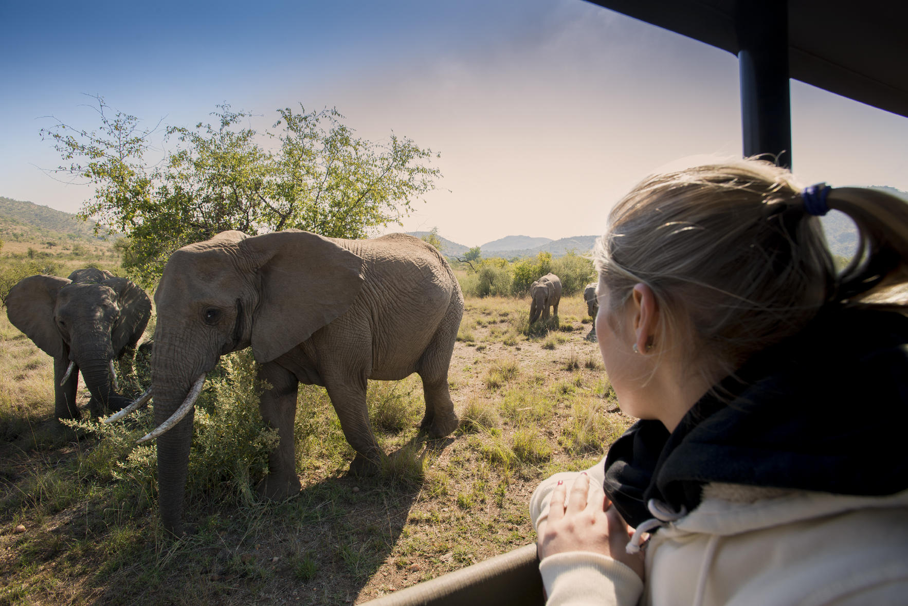 On a game drive at Bakubung Bush Lodge