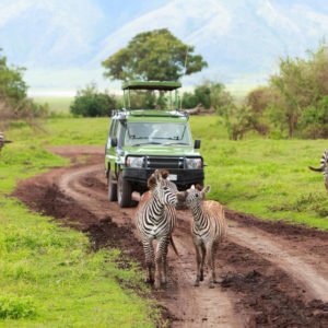 Safari Classique Tanzanie et Zanzibar