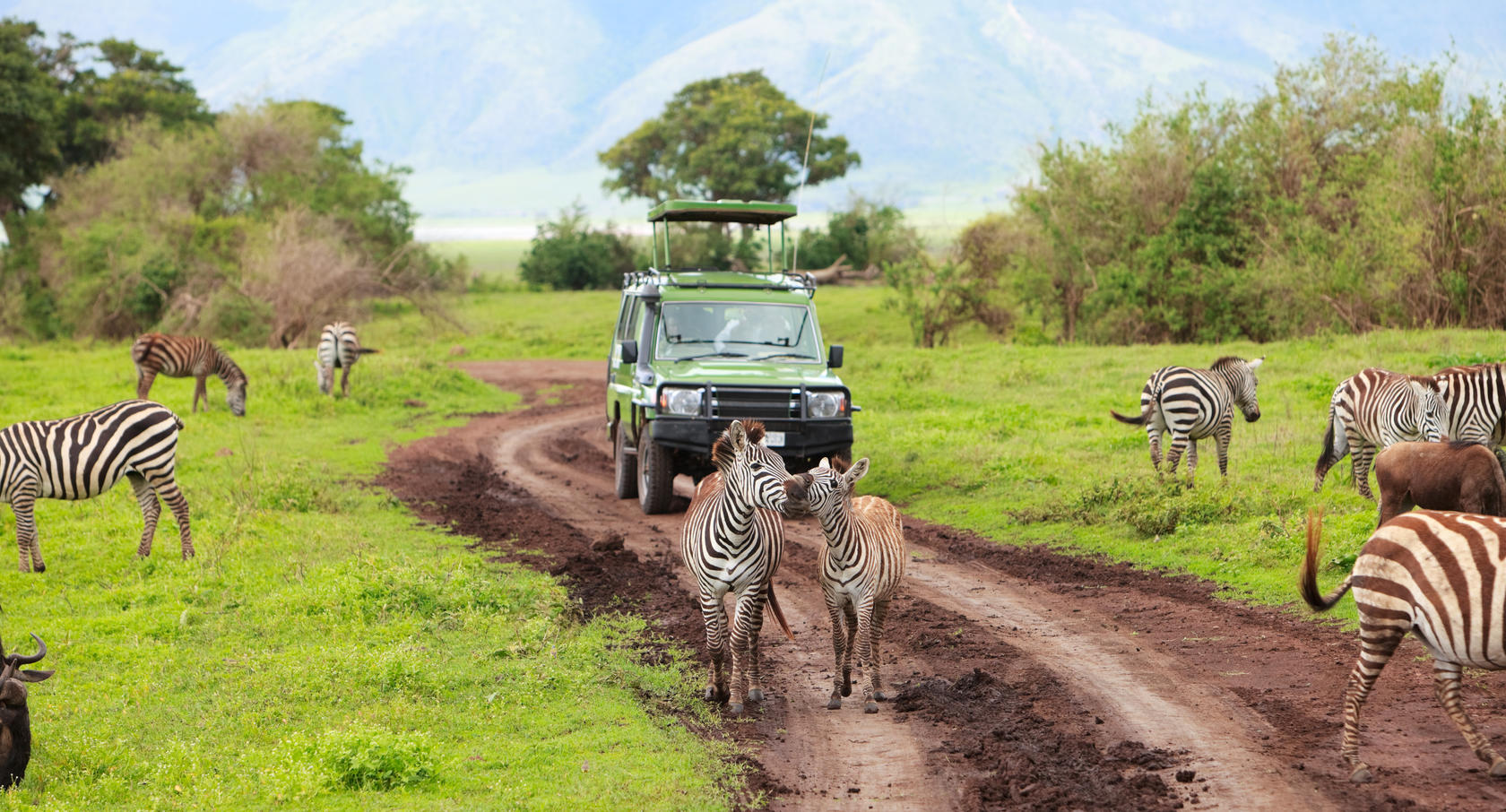 safari tanzanie au depart de zanzibar