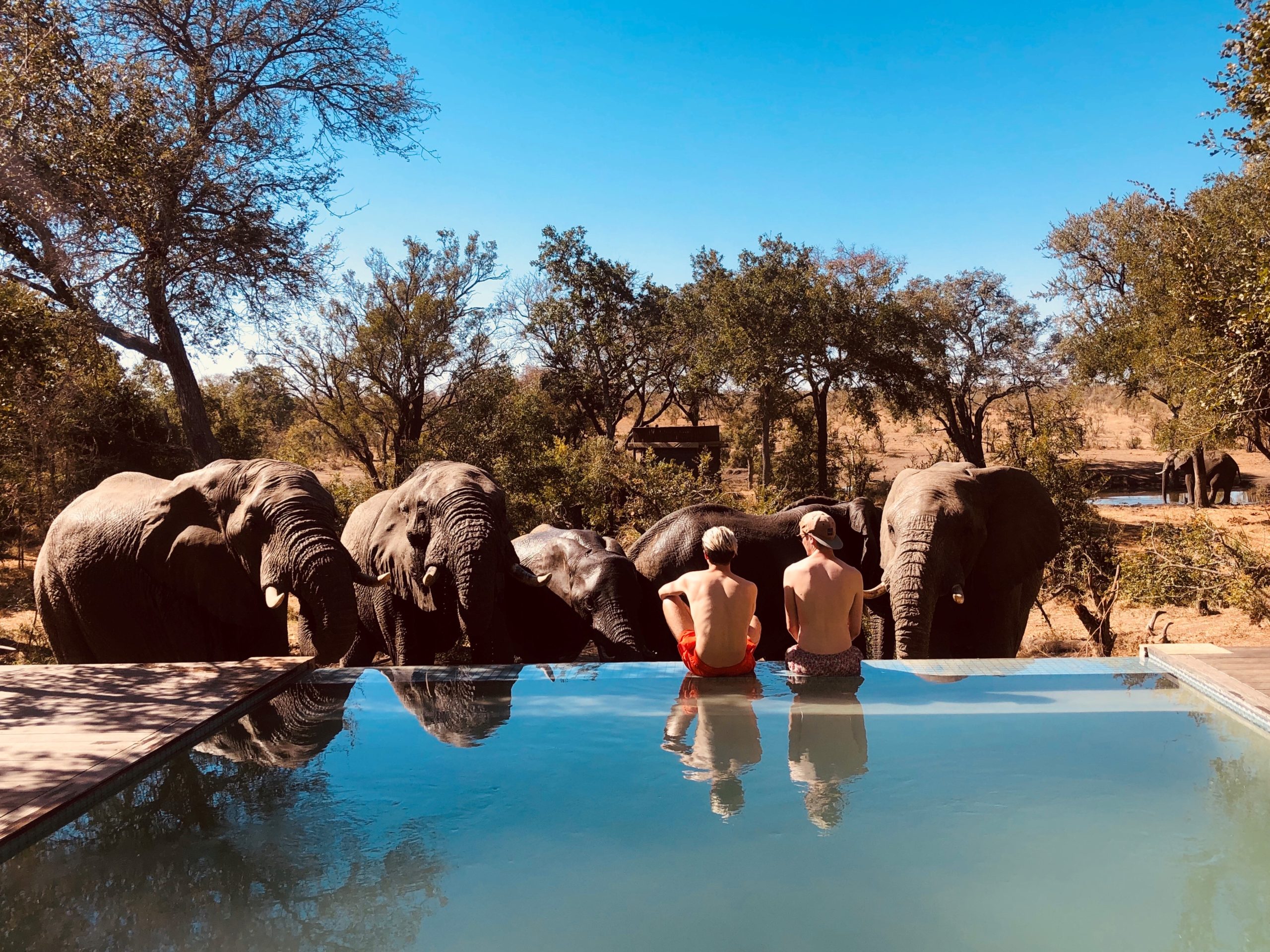 Enjoying up-close encounters with the local wildlife at Khoka Moya