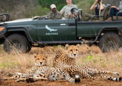 Phinda Mountain Lodge