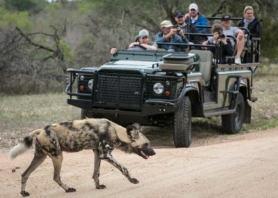 Umkumbe Safari Lodge