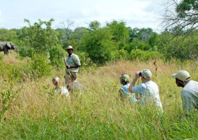 Notten's Bush Camp