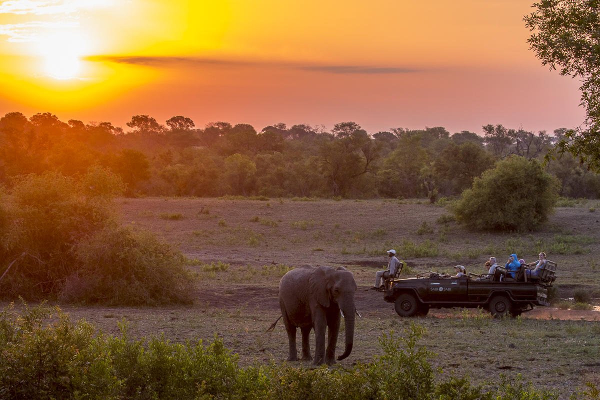 A sunset game drive at Sabi Sabi Bush Lodge