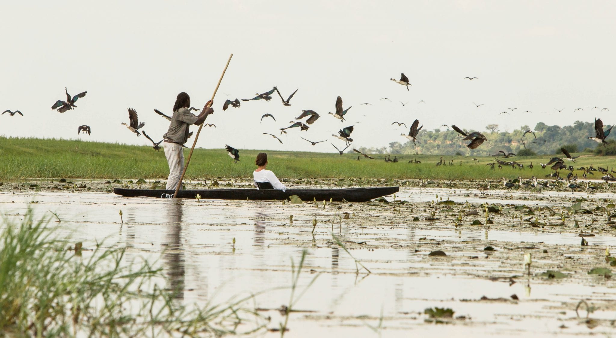 Canoeing on the serene Chobe River at Muchenje Safari Lodge