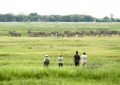 Muchenje Safari Lodge