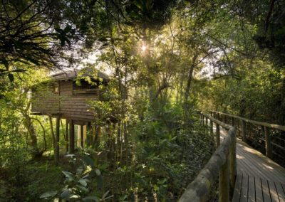 Tsala Treetop Lodge