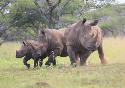 Rhino Ridge River Lodge Self-Catering