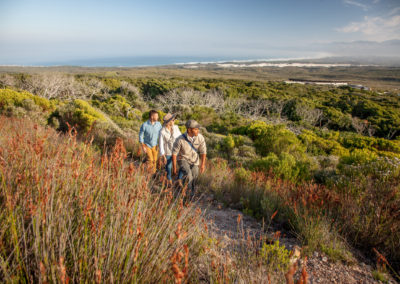 Grootbos Forest Lodge