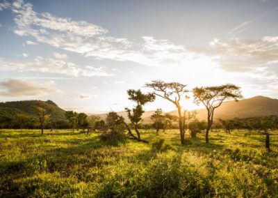 Leopard Mountain Safari Lodge