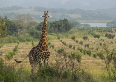 Muluwa Lodge