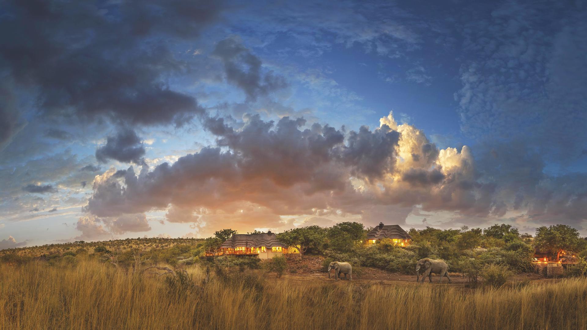 A herd of elephants leisurely strolling past Tuningi Safari Lodge at sunset