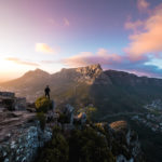 views table mountain flora cape town scenic