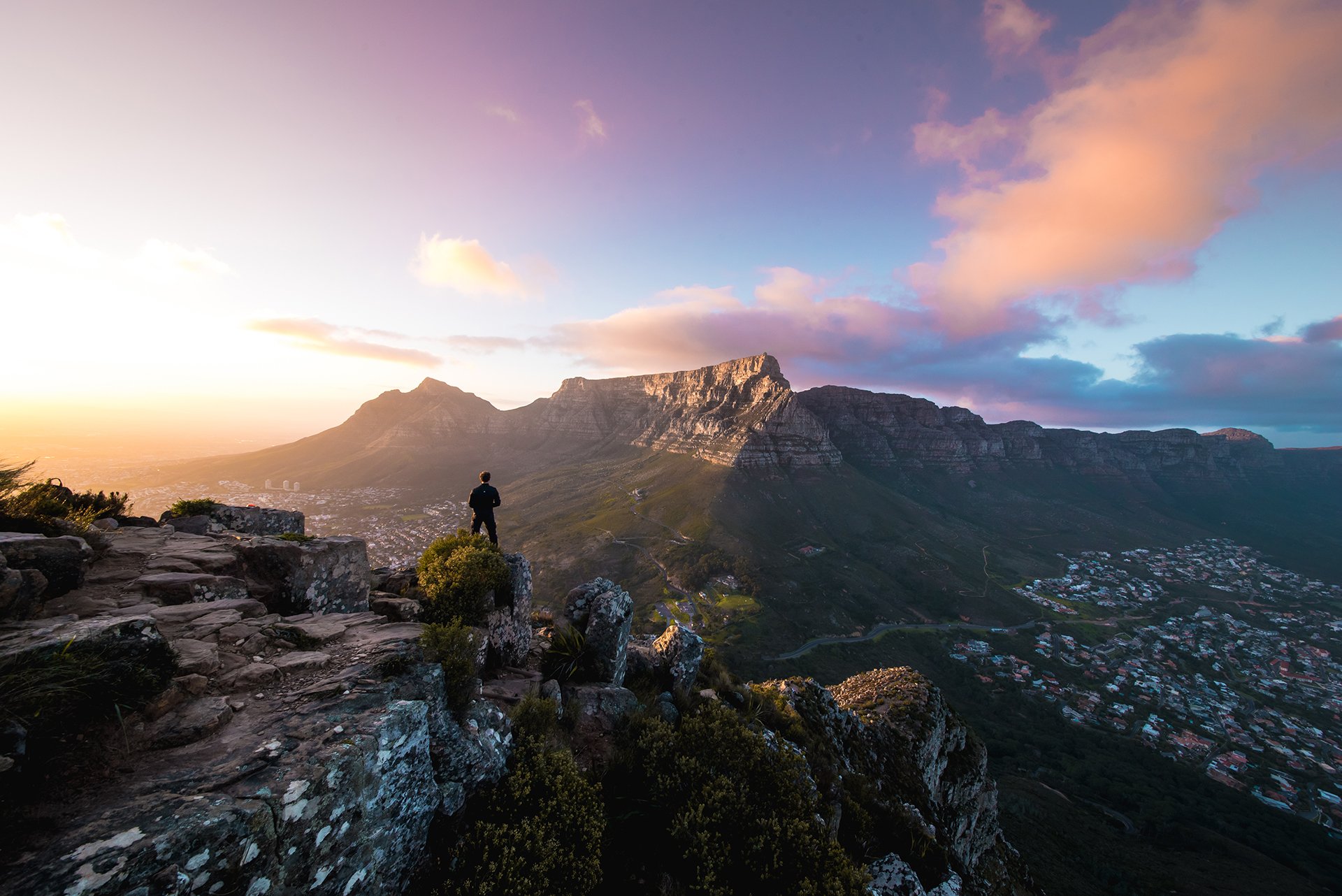 views table mountain flora cape town scenic