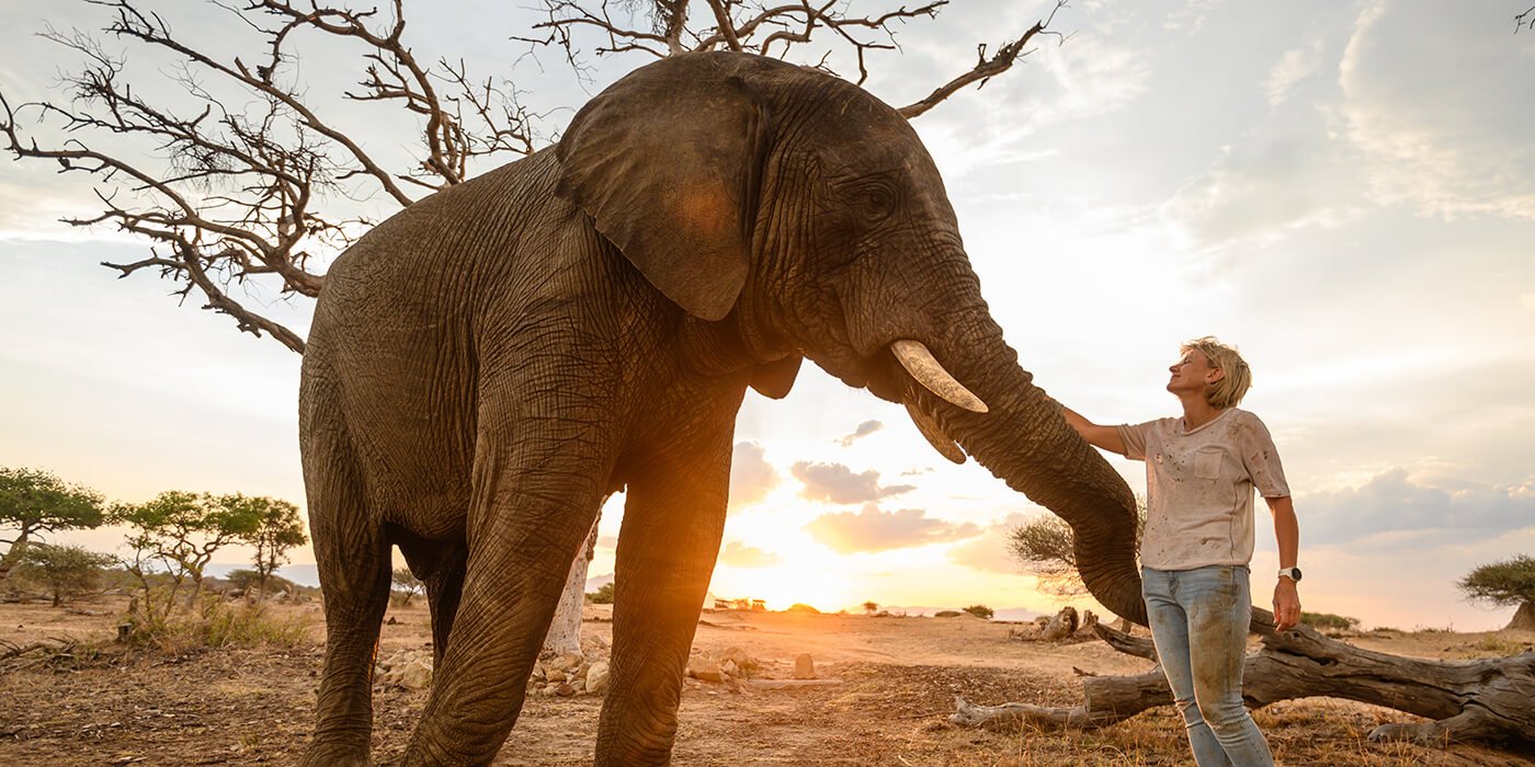 Connecting with the Elephants at Jabulani Safari Lodge