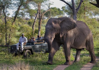 Londolozi Founders Camp