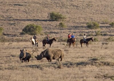 Enjoy a Safari on Horseback